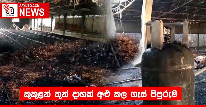 කුකුළන් තුන් දාහක් අළු කල ගෑස් පිපුරුම