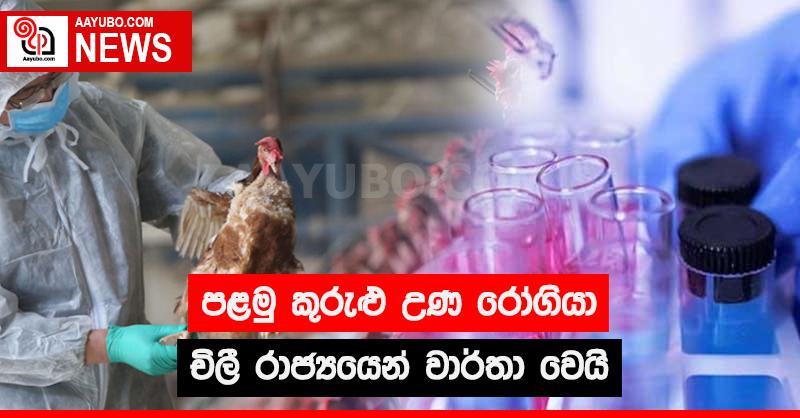 පළමු කුරුළු උණ රෝගියා චිලී රාජ්‍යයෙන් වාර්තා වෙයි