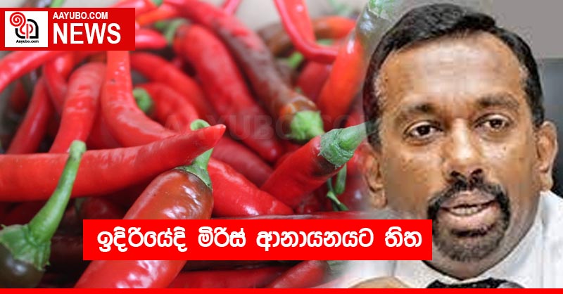 ඉදිරියේදි මිරිස් ආනායනයට තිත