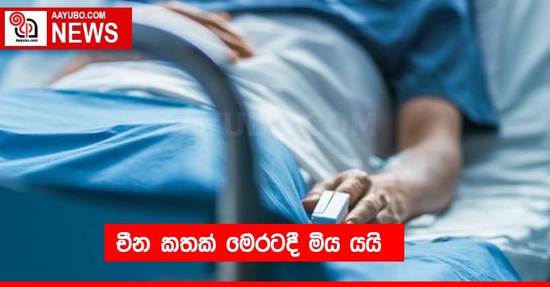 චීන කතක් මෙරටදී මිය යයි