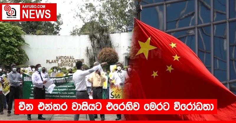 චීන එන්තර වාසියට එරෙහිව මෙරට විරෝධතා
