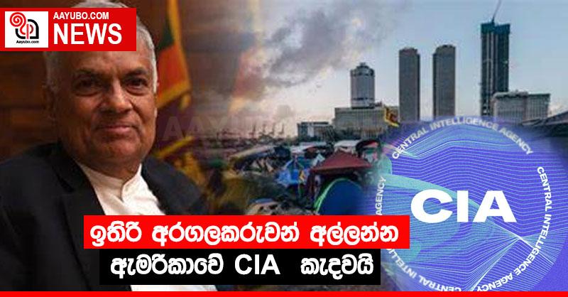 ඉතිරි අරගලකරුවන් අල්ලන්න ඇමරිකාවේ CIA කැදවයි