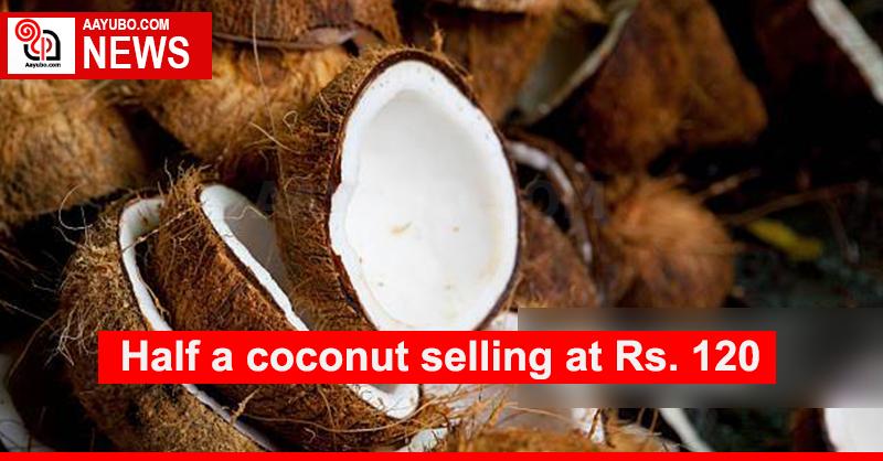 Half a coconut selling at Rs. 120