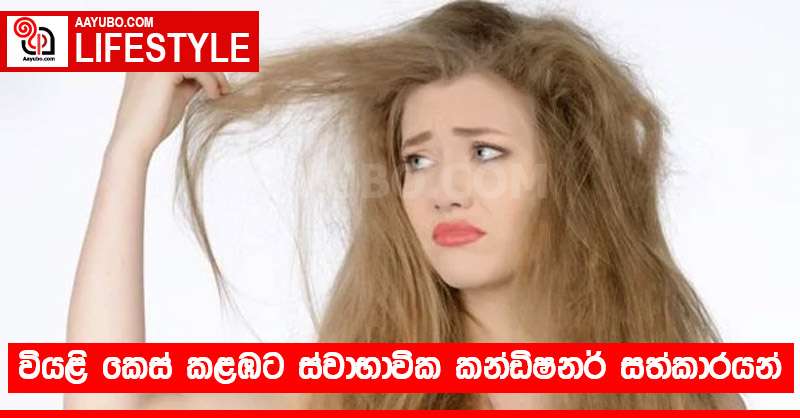 වියළි කෙස් කළඹට ස්වාභාවික කන්ඩිෂනර් සත්කාරයන් 