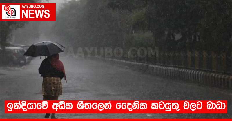 ඉන්දියාවේ අධික ශීතලෙන් දෛනික කටයුතු වලට බාධා