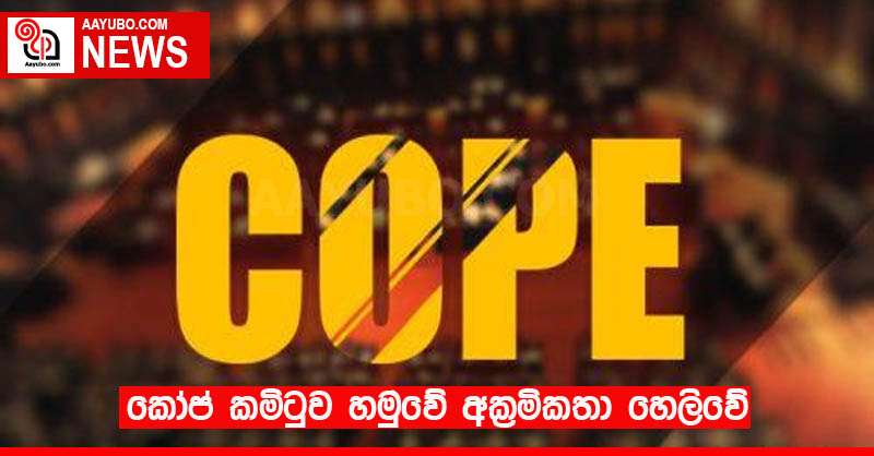 කෝප් කමිටුව හමුවේ අක්‍රමිකතා හෙලිවේ