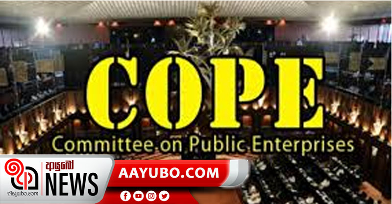 ජනවාරියේදී කොප් කමිටුව හමුවට රාජ්‍ය ආයතන 05ක් කැඳවයි