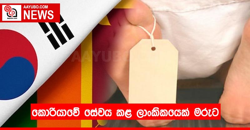 කොරියාවේ සේවය කළ ලාංකිකයෙක් මරුට