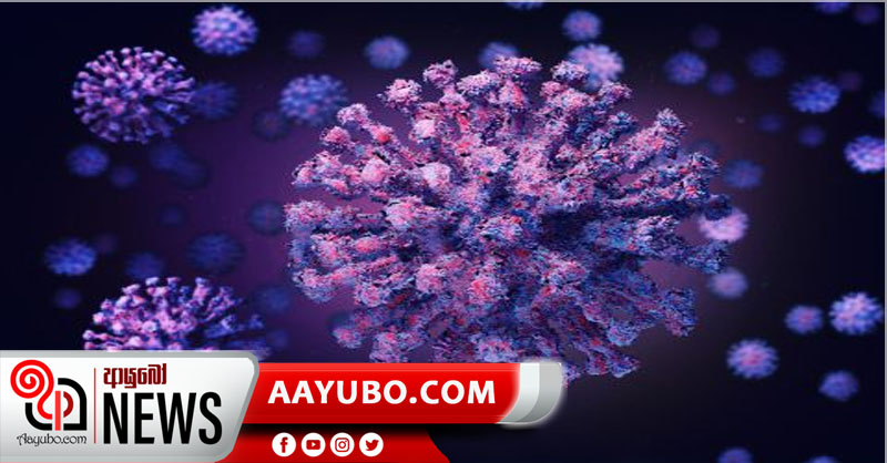 මෙරට කොරෝනා ආසාදිත 66,500න් 60,500ක් සුවය ලබයි