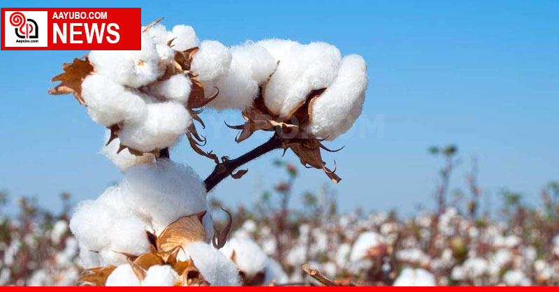 No Cotton and Sugar for Pakistan from India