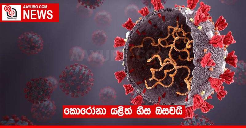 කොරෝනා යළිත් හිස ඔසවයි