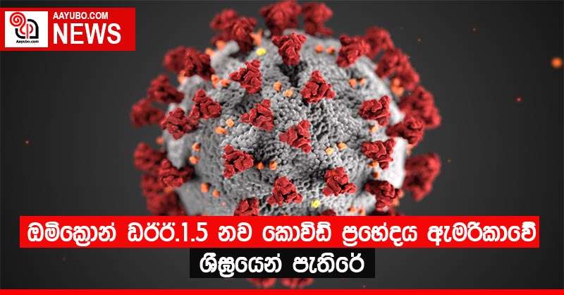 ඔමික්‍රොන් XBB.1.5 නව කොවිඩ් ප්‍රභේදය  ඇමරිකාවේ ශීඝ්‍රයෙන් පැතිරේ