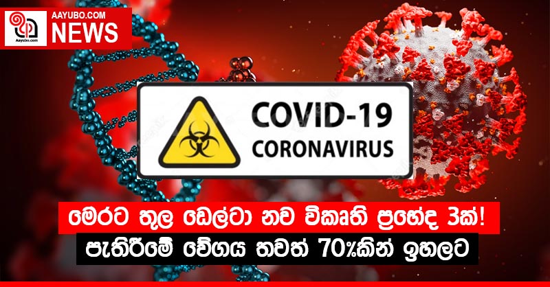 මෙරට තුල ඩෙල්ටා නව විකෘති ප්‍රභේද 3ක්! - පැතිරීමේ වේගය තවත් 70%කින් ඉහලට