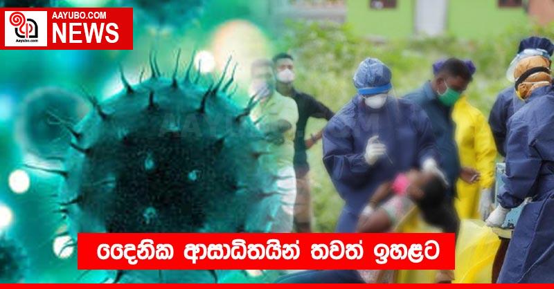 දෛනික ආසාධිතයින් තවත් ඉහළට