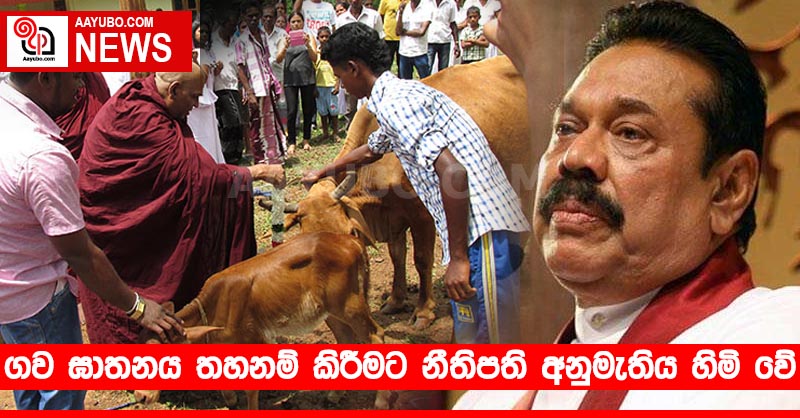 ගව ඝාතනය තහනම් කිරීමට නීතිපති අනුමැතිය හිමි වේ