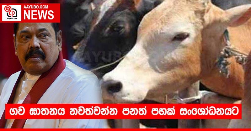 ගව ඝාතනය නවත්වන්න පනත් පහක් සංශෝධනයට