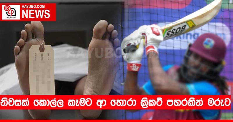 නිවසක් කොල්ල කෑමට ආ හොරා ක්‍රිකට් පහරකින් මරුට