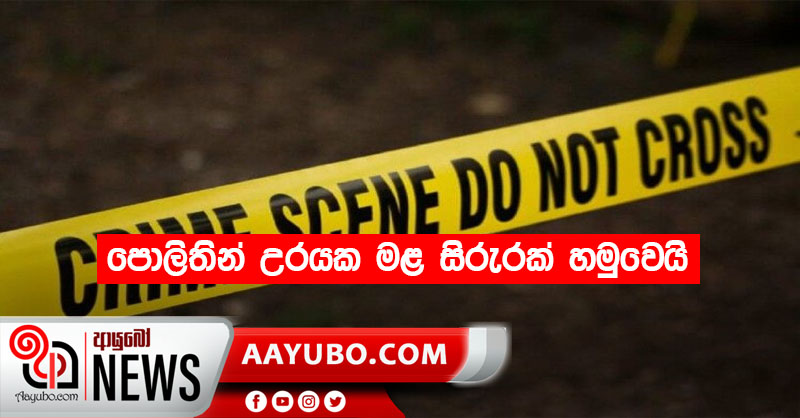 කළු පැහැති ගමන් බෑගයක තිබුණු මළ සිරුරක් කොළඹින් හමුවෙයි