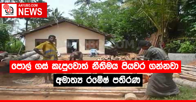 පොල් ගස් කැපුවොත් නීතිමය පියවර ගන්නවා - අමාත්‍ය රමේෂ් පතිරණ