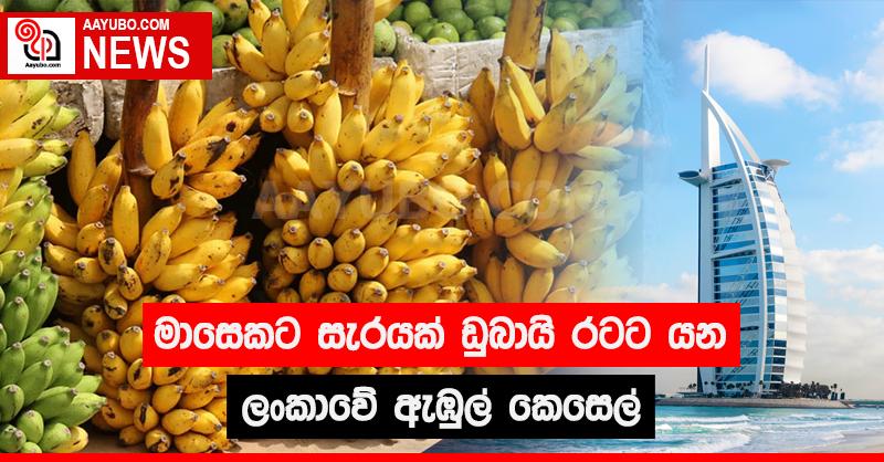 මාසෙකට සැරයක් ඩුබායි රටට යන ලංකාවේ ඇඹුල් කෙසෙල්