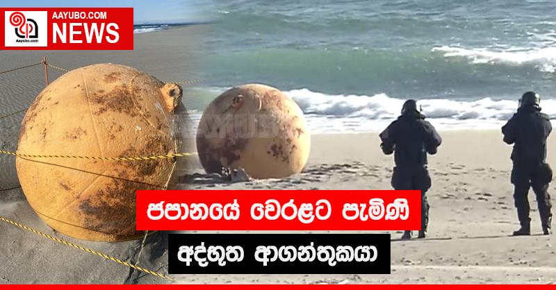 ජපානයේ වෙරළට පැමිණි අද්භූත ආගන්තුකයා