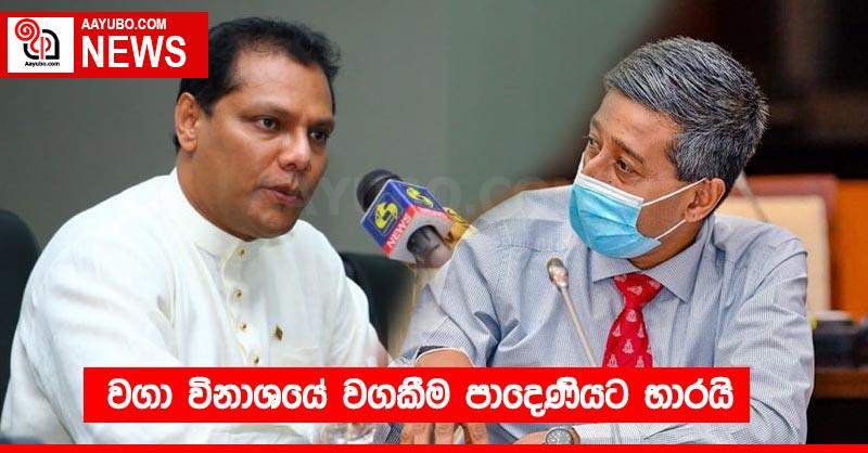 වගා විනාශයේ වගකීම පාදෙණියට භාරයි