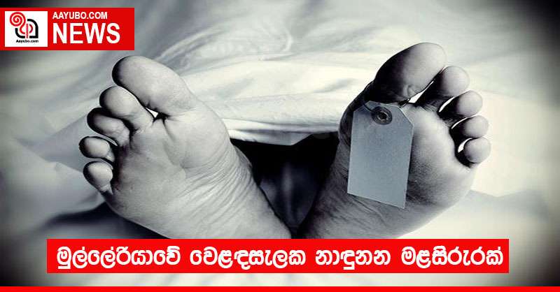 මුල්ලේරියාවේ වෙළඳසැලක නාඳුනන මළසිරුරක්