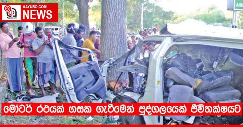 මෝටර් රථයක් ගසක ගැටීමෙන් පුද්ගලයෙක් ජීවිතක්ෂයට