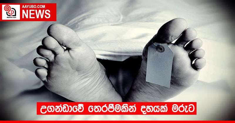 උගන්ඩාවේ තෙරපීමකින් දහයක් මරුට