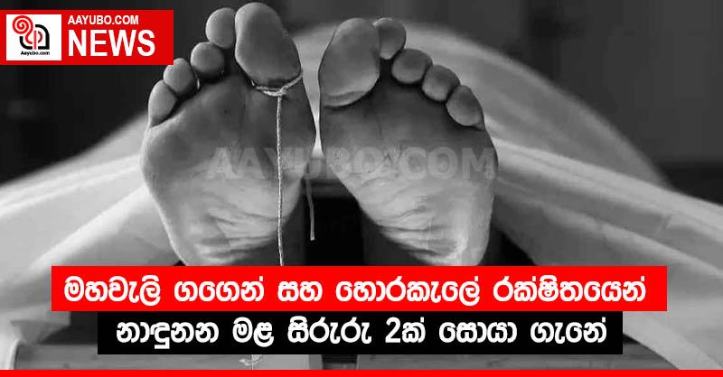 මහවැලි ගගෙන් සහ හොරකැලේ රක්ෂිතයෙන් නාඳුනන මළ සිරුරු 2ක් සොයා ගැනේ