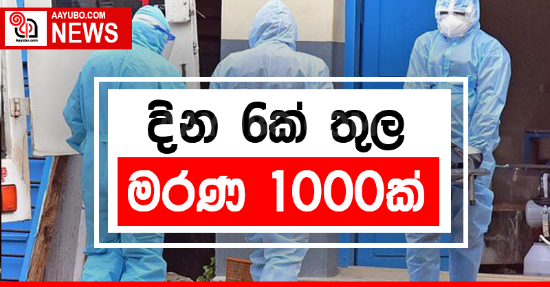 දින 6ක් තුල මරණ 1000ක්!