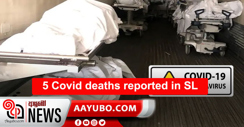 5 COVID deaths reported in SL