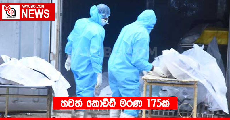 තවත් කොවිඩ් මරණ 175ක්