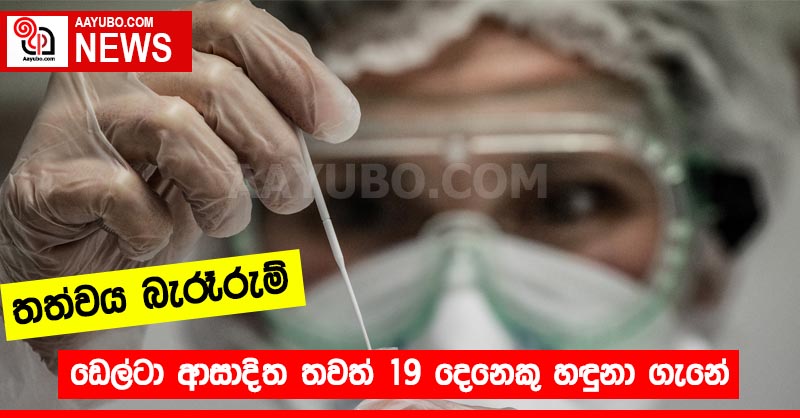 තත්වය බැරෑරුම්.. ඩෙල්ටා ආසාදිත තවත් 19 දෙනෙකු හඳුනා ගැනේ