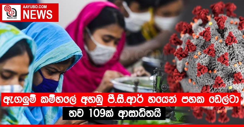 ඇගලුම් කම්හලේ අහඹු පී.සී.ආර් හයෙන් පහක ඩෙල්ටා තව 109ක් ආසාධිතයි