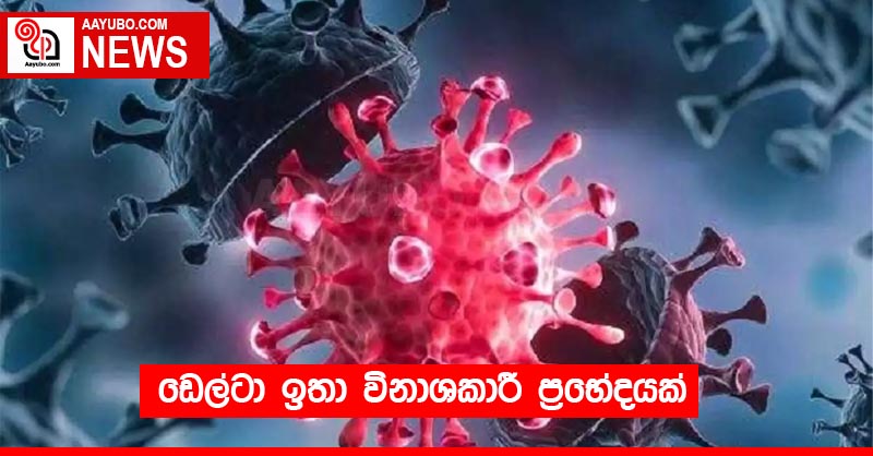 ඩෙල්ටා ඉතා විනාශකාරී ප්‍රභේදයක්