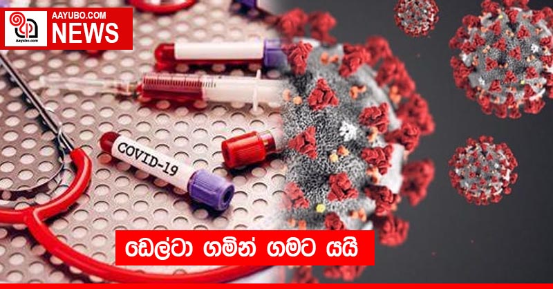 ඩෙල්ටා ගමින් ගමට යයි