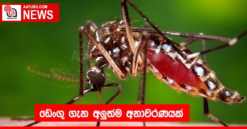 ඩෙංගු ගැන අලුත්ම අනාවරණයක්