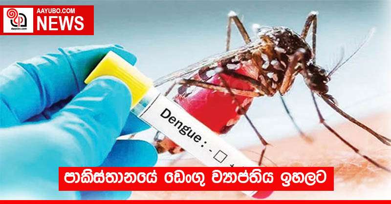 පාකිස්තානයේ ඩෙංගු ව්‍යාප්තිය ඉහලට