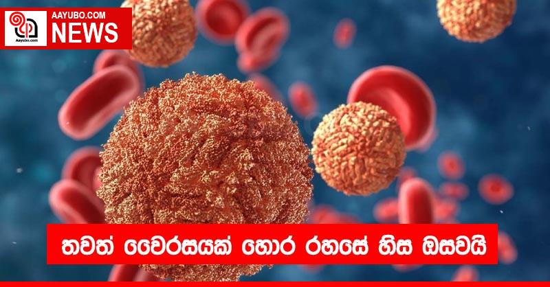 තවත් වෛරසයක් හොර රහසේ හිස ඔසවයි