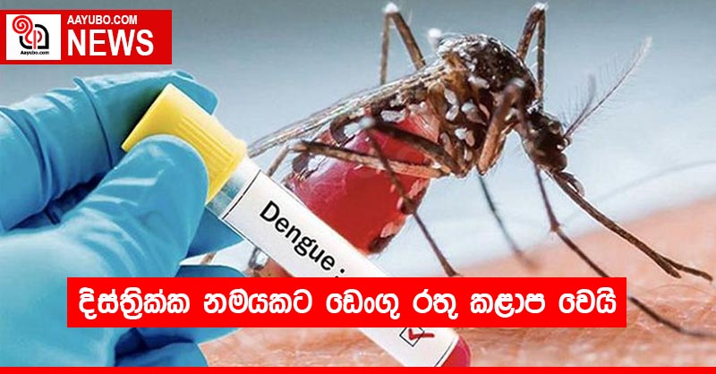 දිස්ත්‍රික්ක නමයකට ඩෙංගු රතු කළාප වෙයි