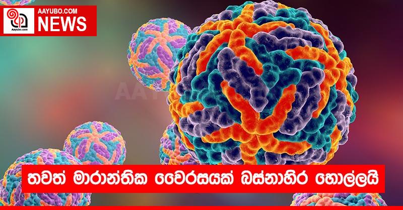 තවත් මාරාන්තික වෛරසයක් බස්නාහිර හොල්ලයි