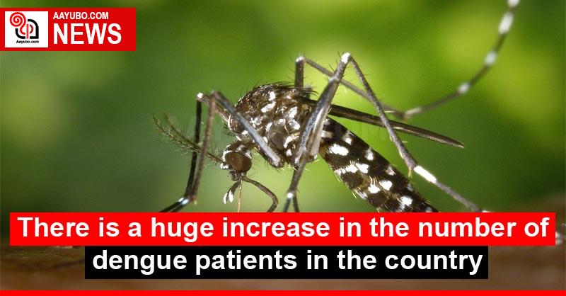 There is a huge increase in the number of dengue patients in the country