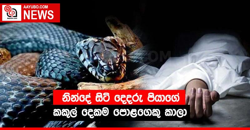 නින්දේ සිටි දෙදරු පියාගේ කකුල් දෙකම පොළගෙකු කාලා