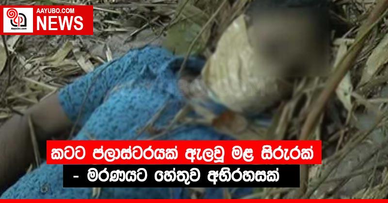 කටට ප්ලාස්ටරයක් ඇලවූ මළ සිරුරක් - මරණයට හේතුව අභිරහසක්