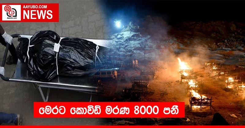 මෙරට කොවිඩ් මරණ 8000 පනිී