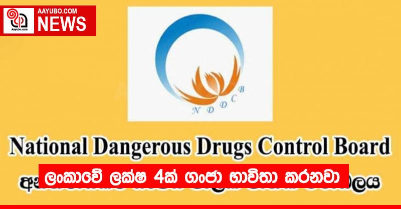 ලංකාවේ ලක්ෂ 4ක් ගංජා භාවිතා කරනවා