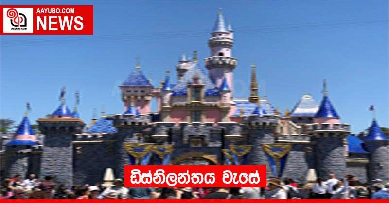 ඩිස්නිලන්තය වැසේ