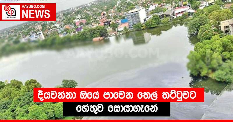 දියවන්නා ඔයේ පාවෙන තෙල් තට්ටුව ට හේතුව සොයාගැනේ