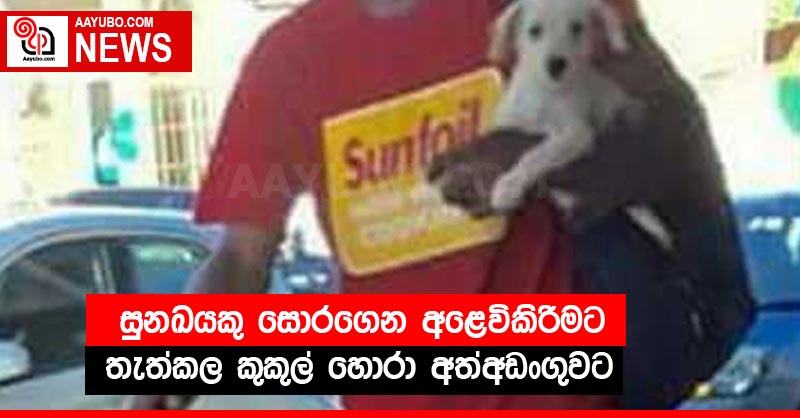 සුනඛයකු සොරගෙන අළෙවිකිරීමට තැත්කල කුකුල් හොරා අත්අඩංගුවට